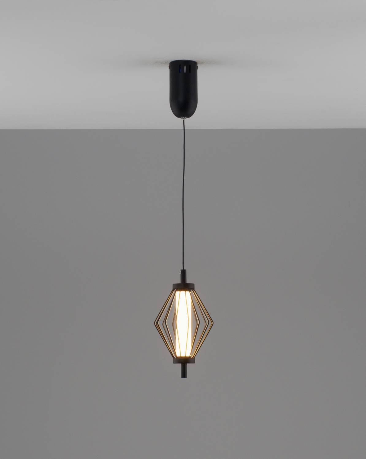 Светильник подвесной Moderli Eloise V11349-PL