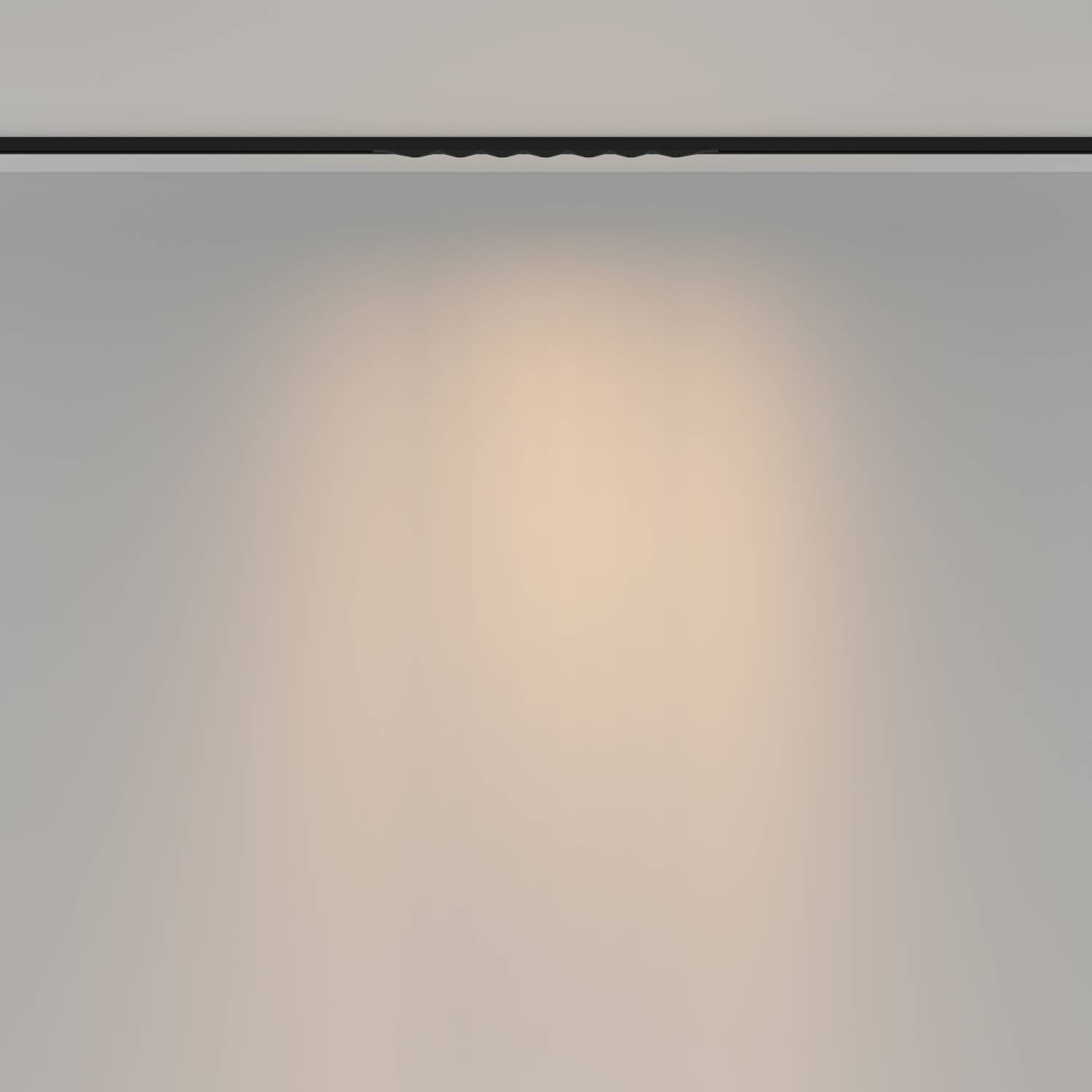 Трековый светильник Maytoni Spiky TR175-1-12WTW-M-B