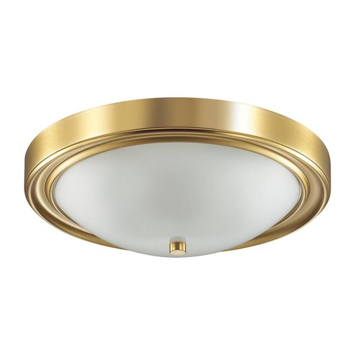 Светильник потолочный Lumion Nina 5259/3C Светильник потолочный Lumion Nina 5259/3C