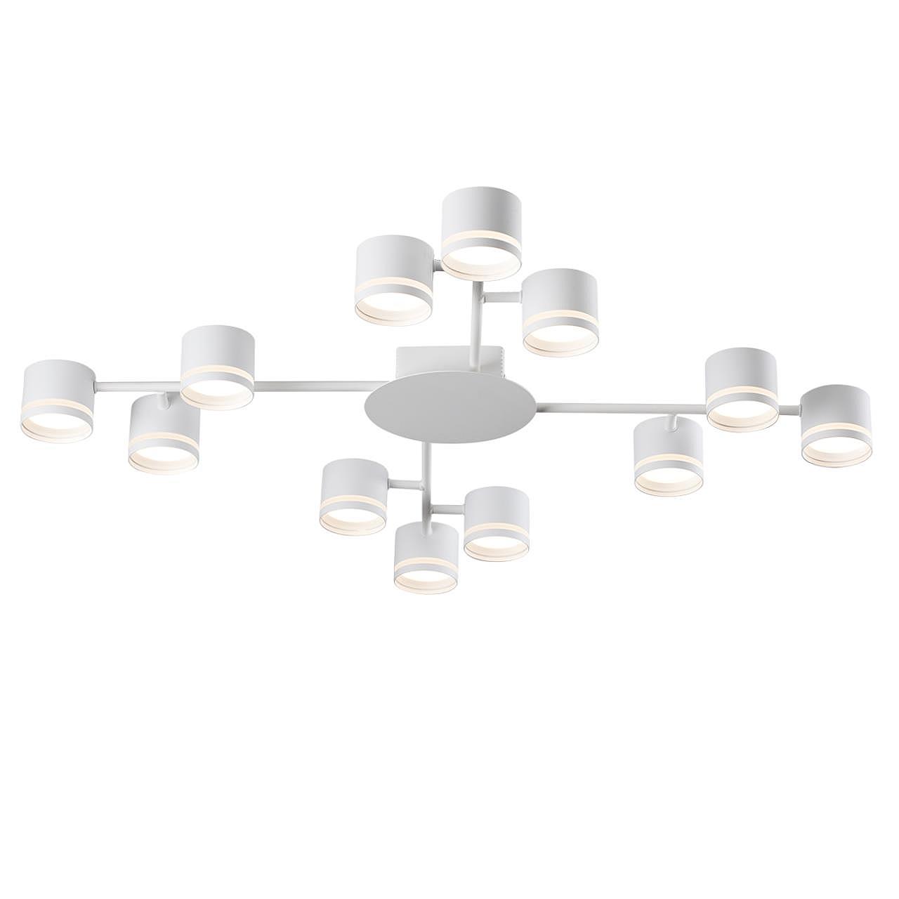 Потолочная люстра Lumion Gareta 8235/12C Потолочная люстра Lumion Gareta 8235/12C