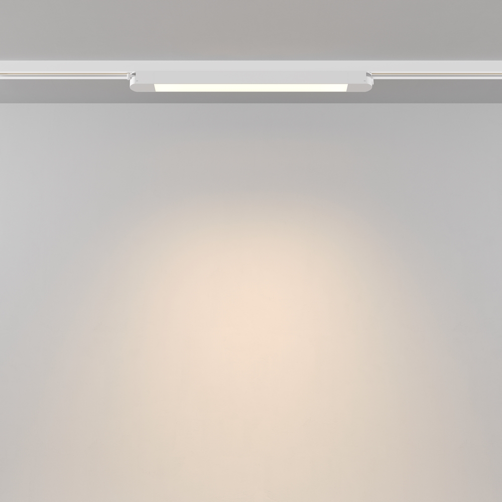 Трековый светильник Maytoni Basis TR000-1-12W3K-W_1