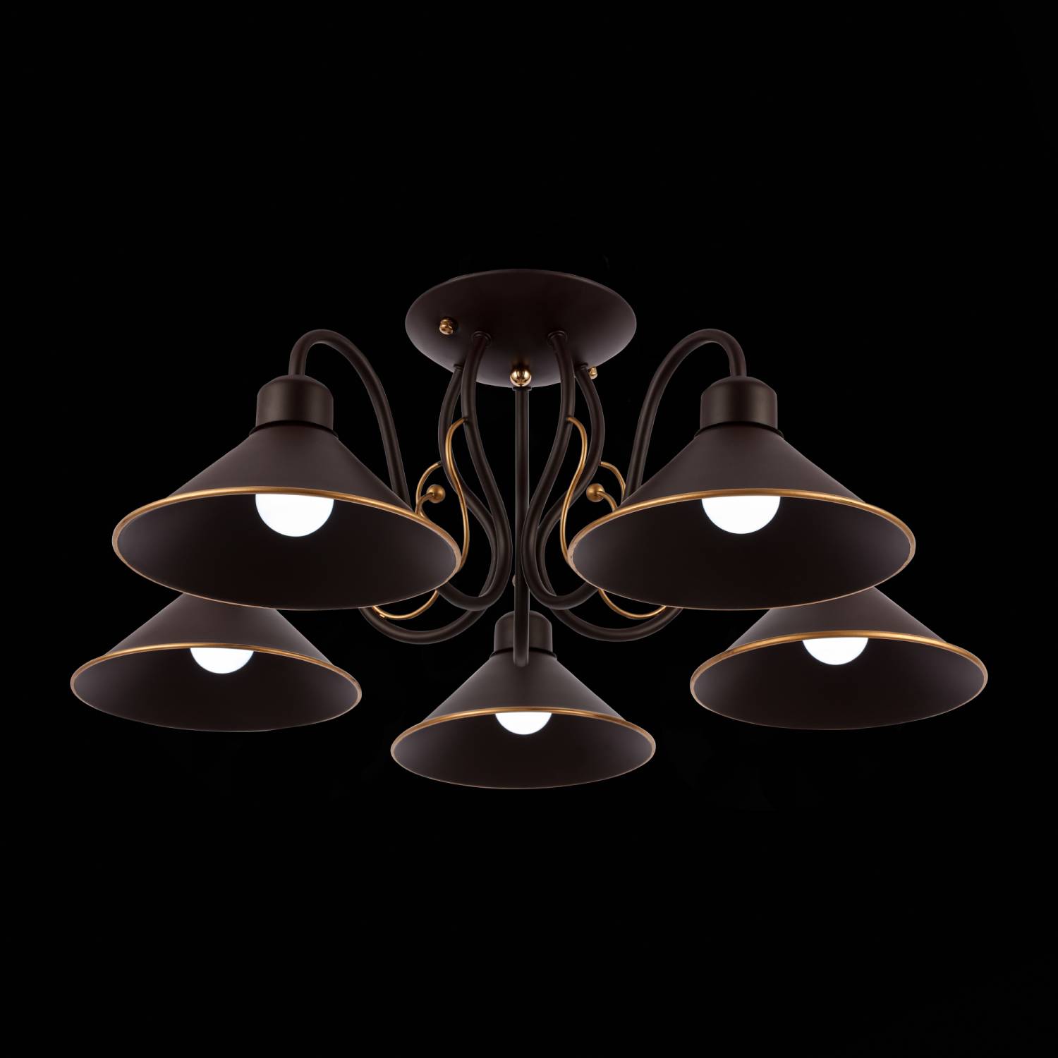 Потолочная люстра Evoluce Ciolla SLE120402-05 Потолочная люстра Evoluce Ciolla SLE120402-05