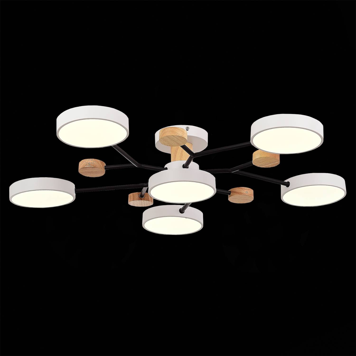 Потолочная люстра Evoluce Faema SLE6006-502-06
