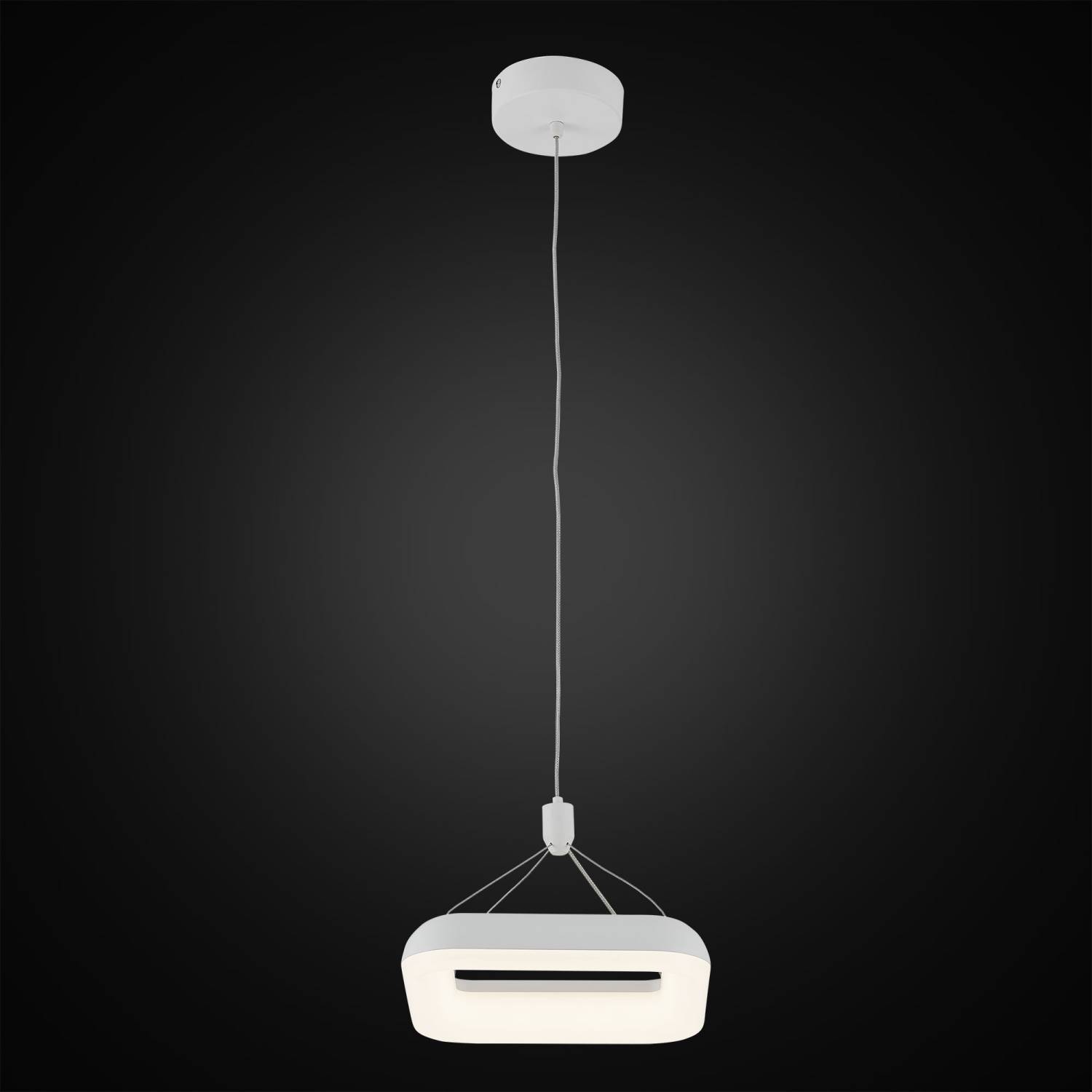 Светильник подвесной Citilux Паркер CL225210r