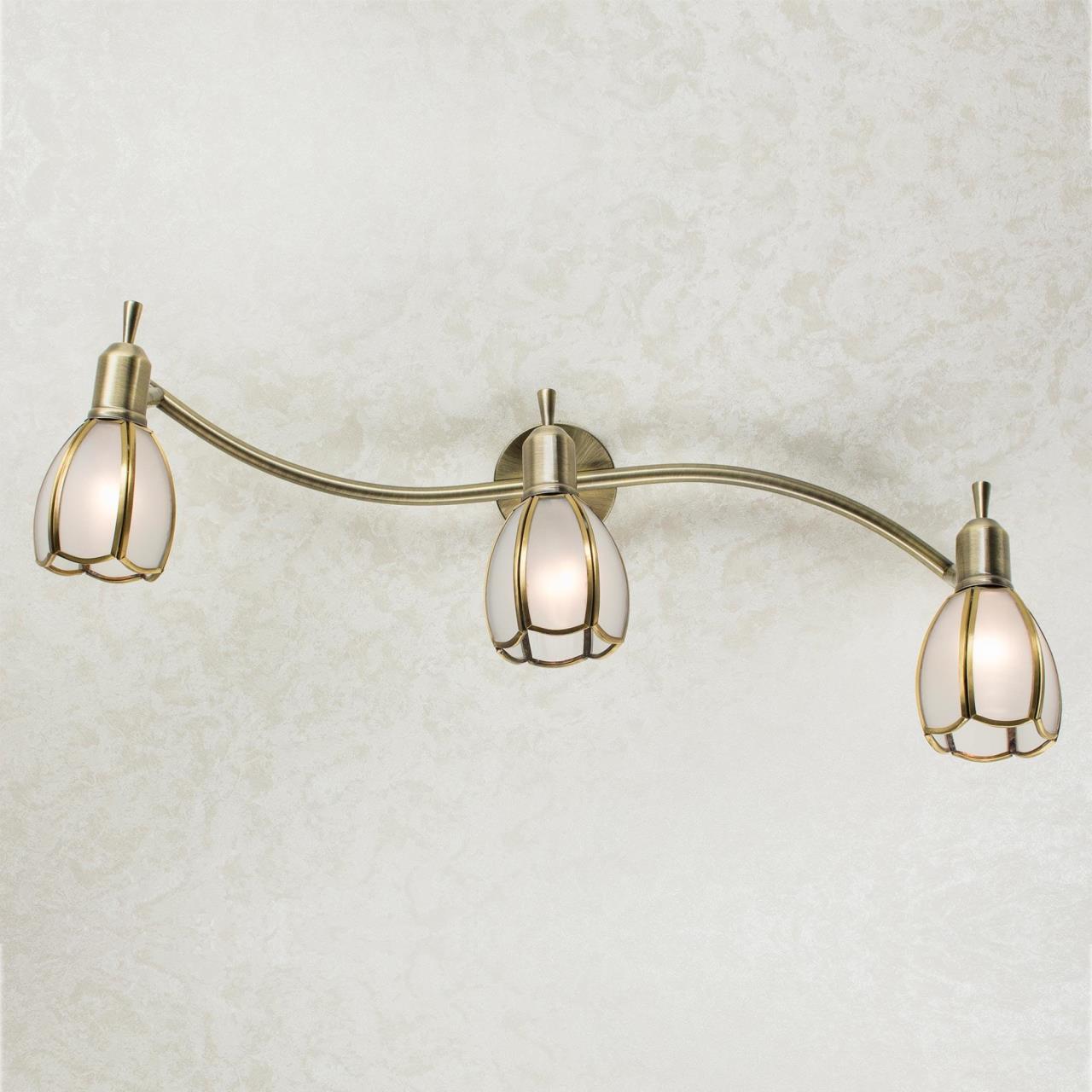 Светильник спот Citilux Альтен-2 CL522631