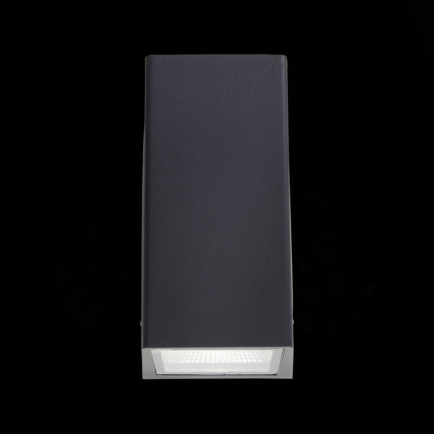 Уличный LED настенный светильник ST Luce SL088 SL088.421.02