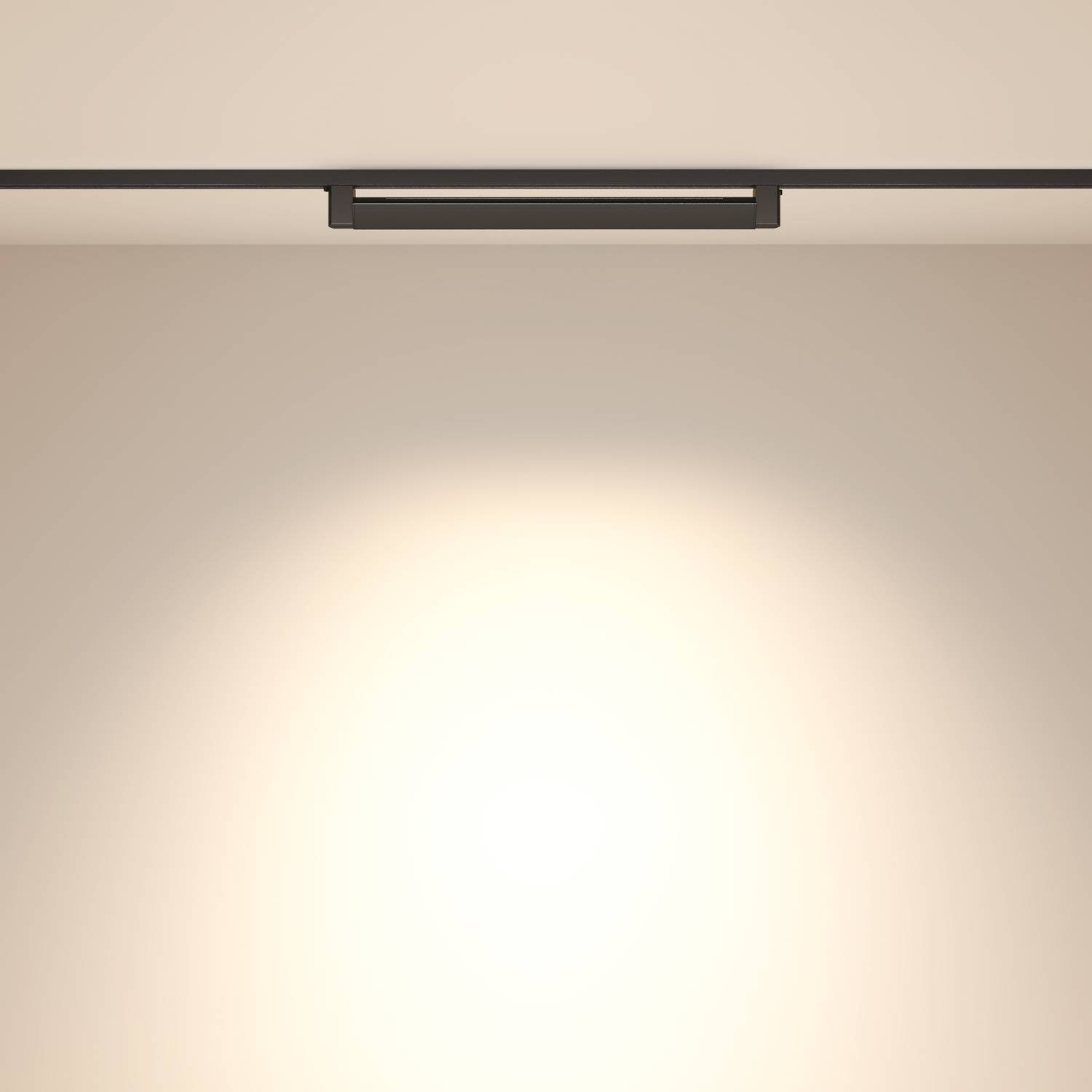 Трековый светильник Maytoni Points Rot Unity TR010-1-20W4K-M-B