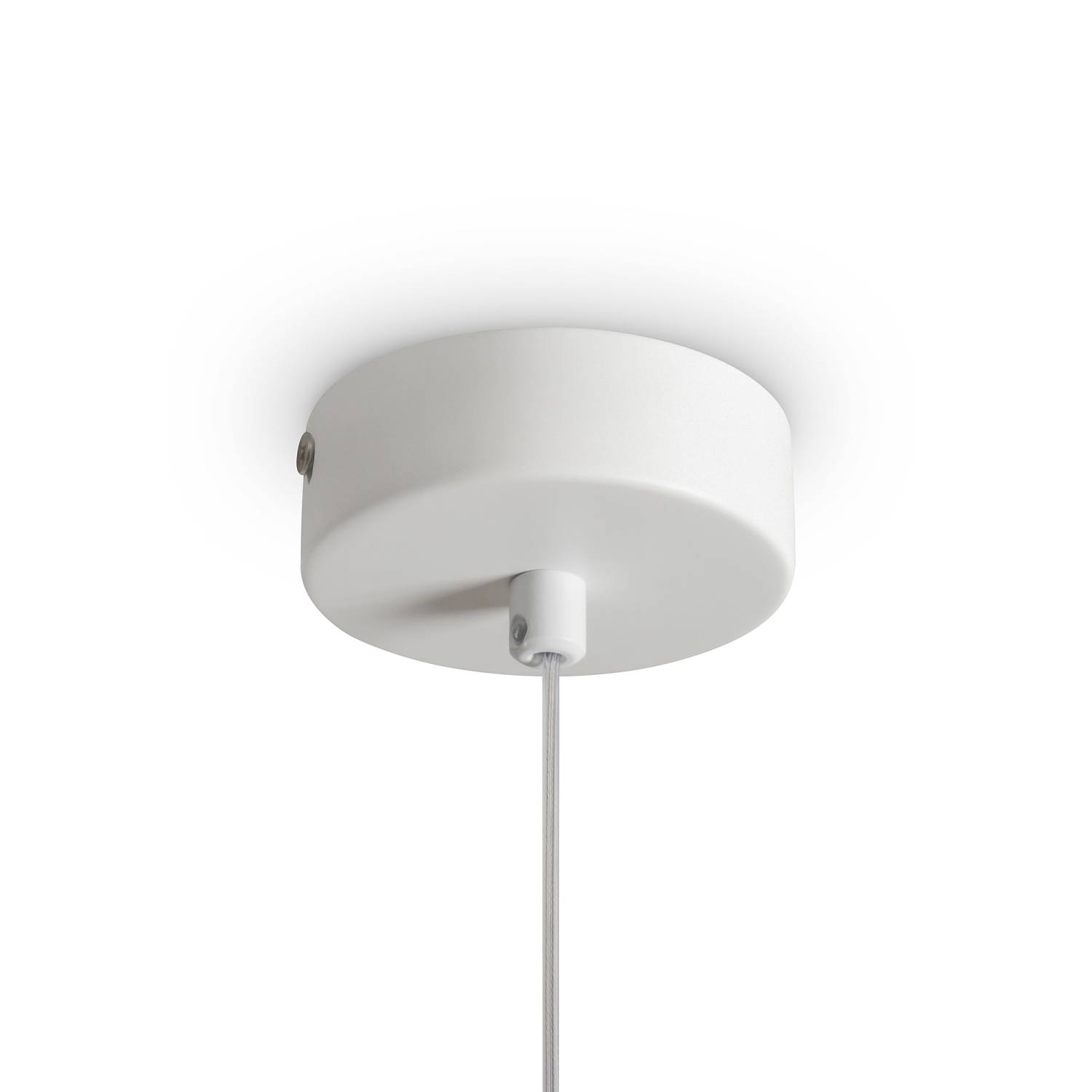Светильник подвесной Freya Pietre FR5592PL-01BS1
