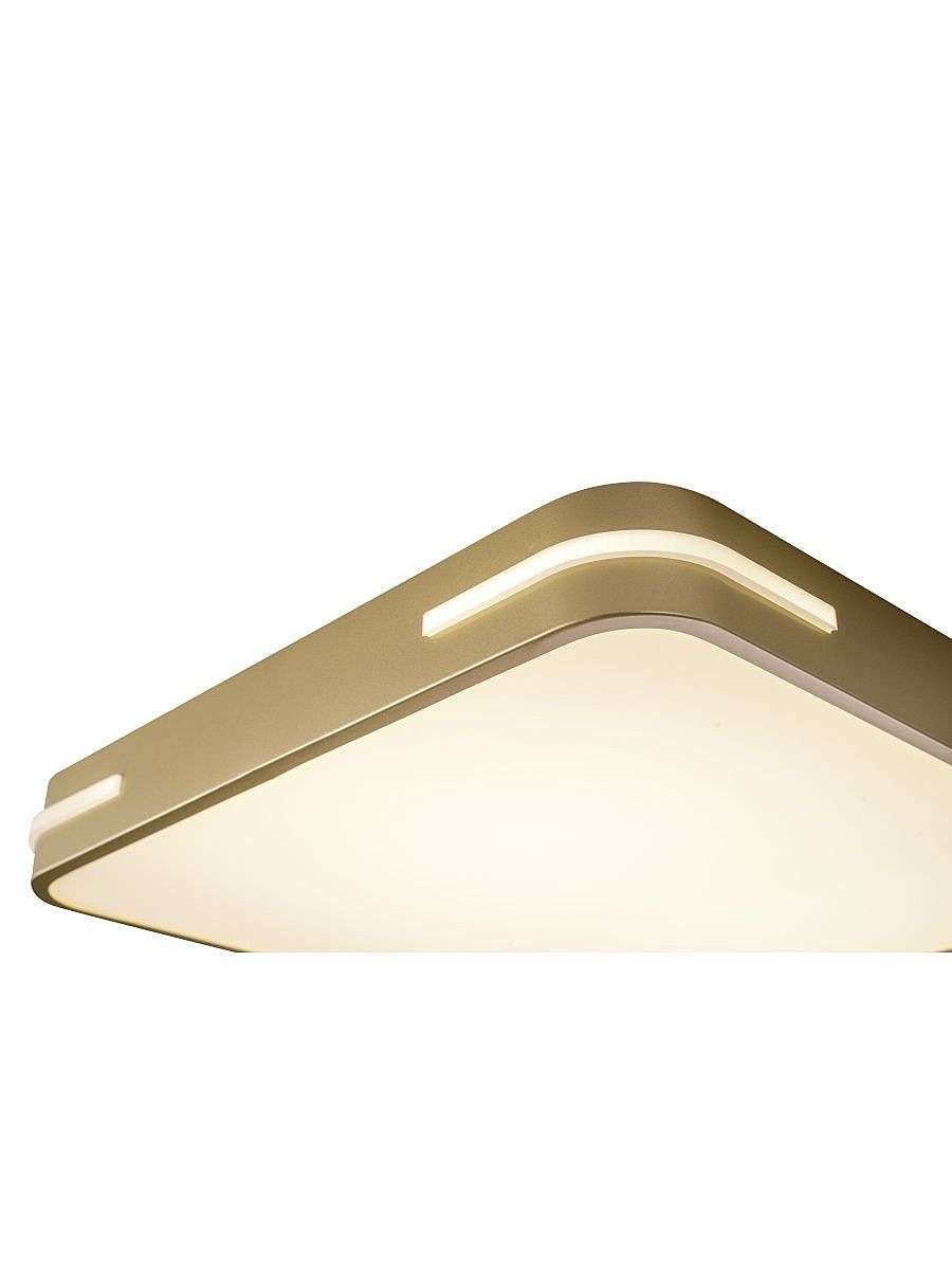 Светильник потолочный Zortes Gabby ZRS.1215.03