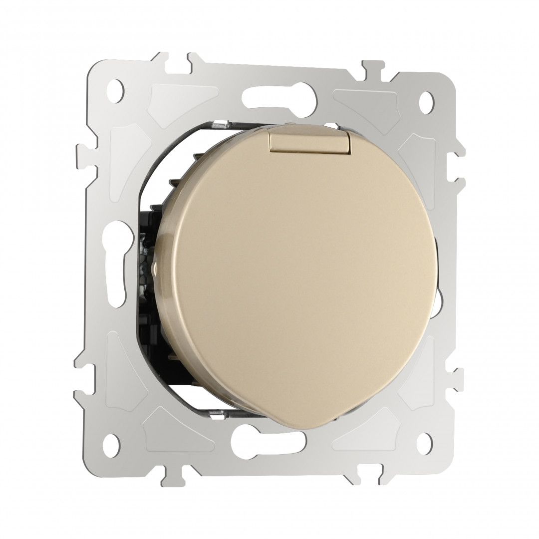 Розетка Arte Milano Am-202 202.41-1.shampan