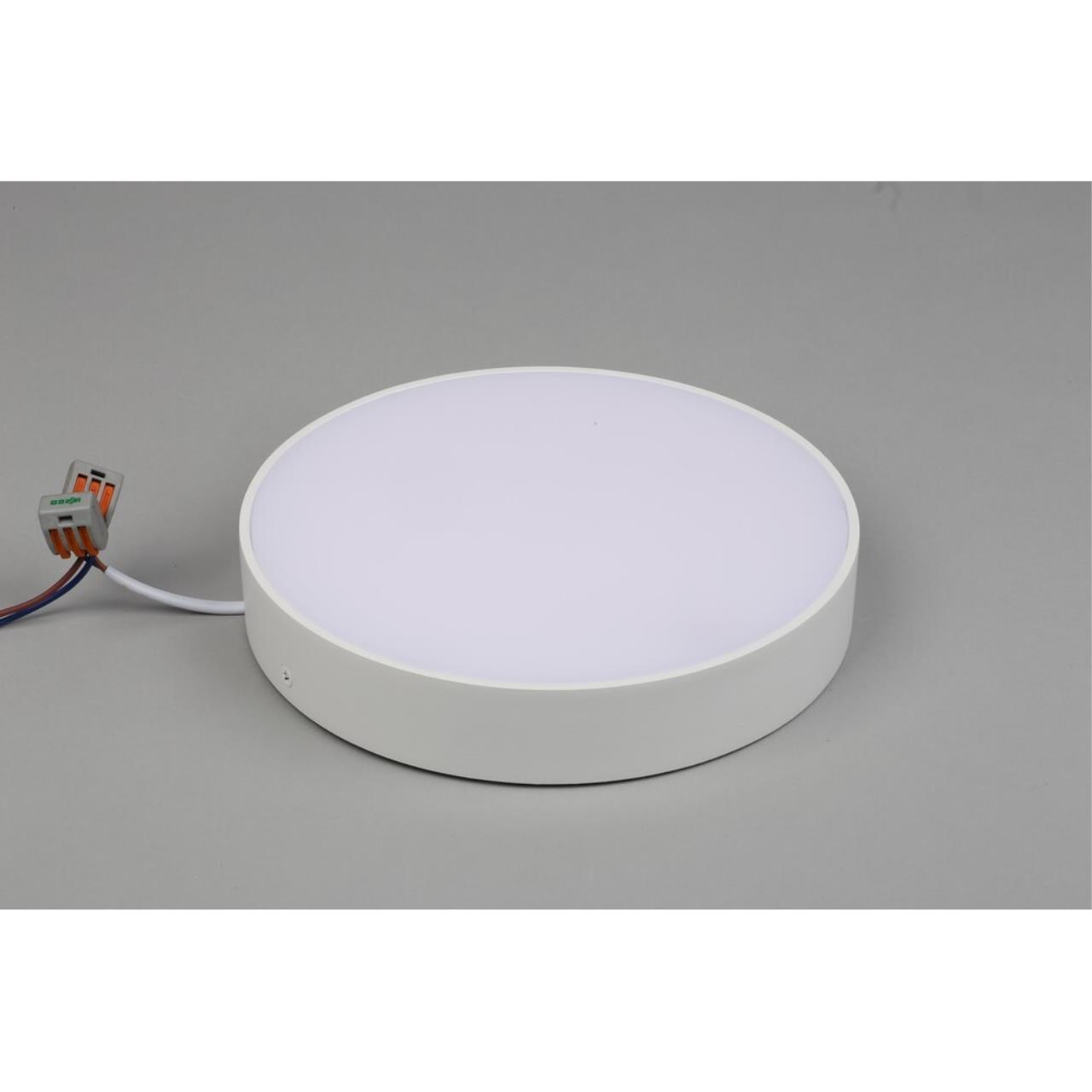 Светильник потолочный Aployt Evon APL.0114.09.24