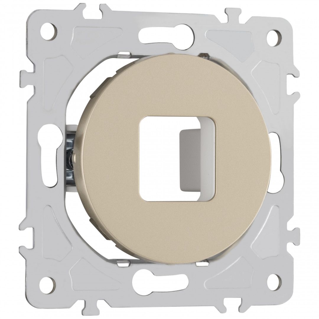 Накладка на механизм Arte Milano Am-202 202.49-1.shampan