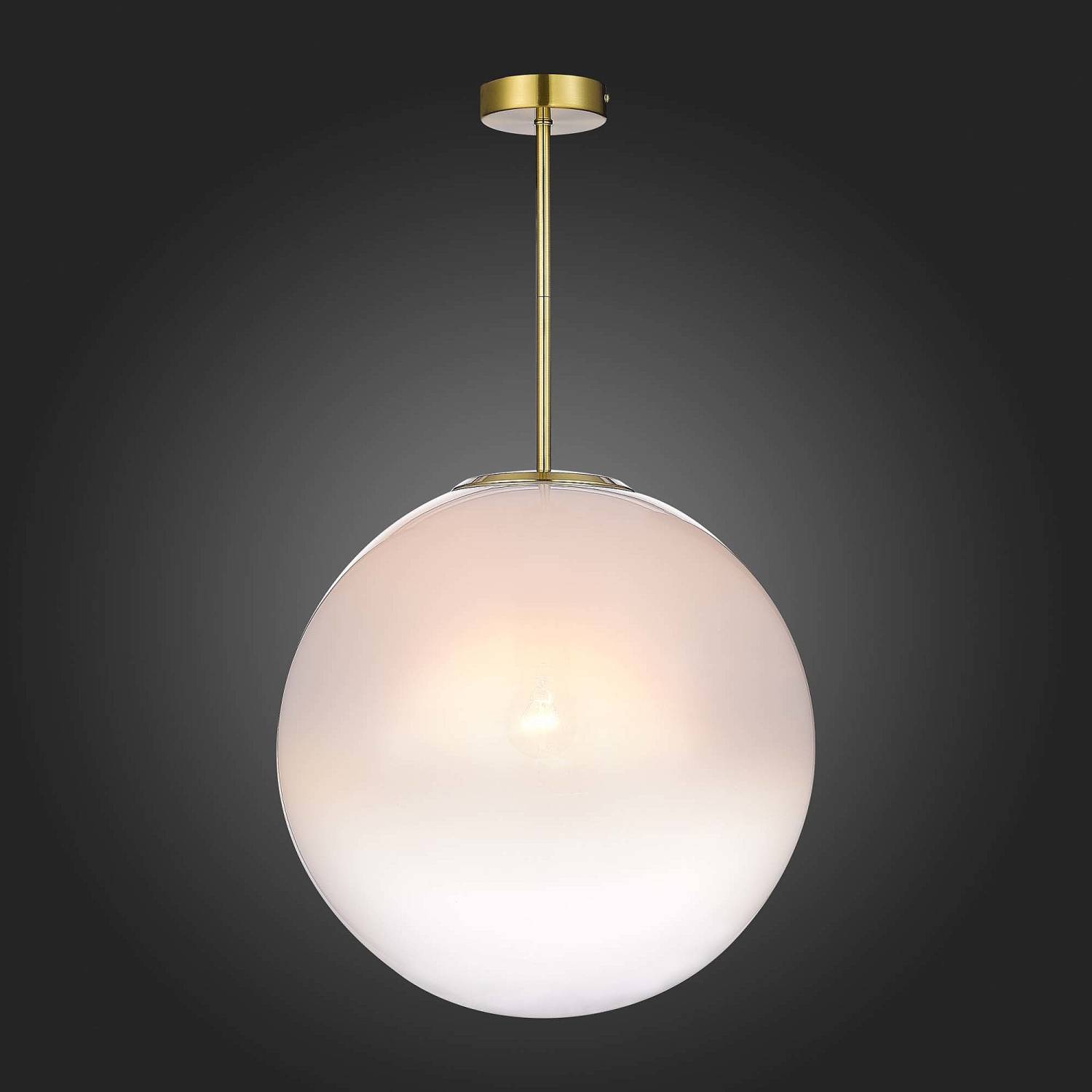 Светильник потолочный ST Luce Cassius SL1190.222.01 Светильник потолочный ST Luce Cassius SL1190.222.01