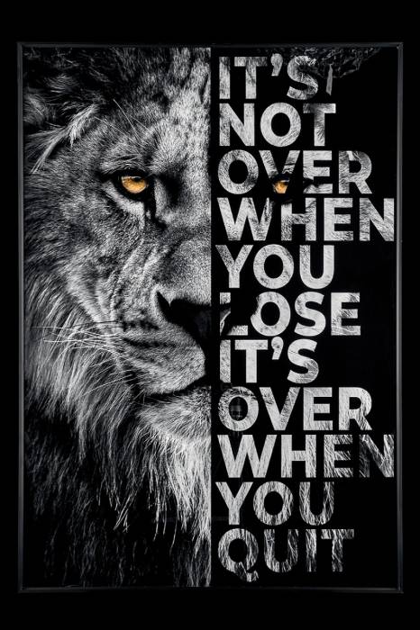 Картина настенная Teona Decor Lion TD112