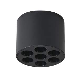 Накладной светильник Lightstar Guarda 080647