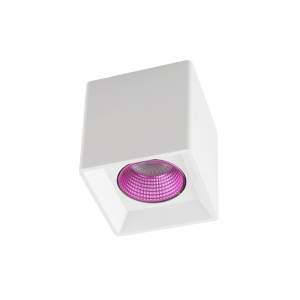 Накладной светильник Denkirs DK3030 DK3080-WH+PI