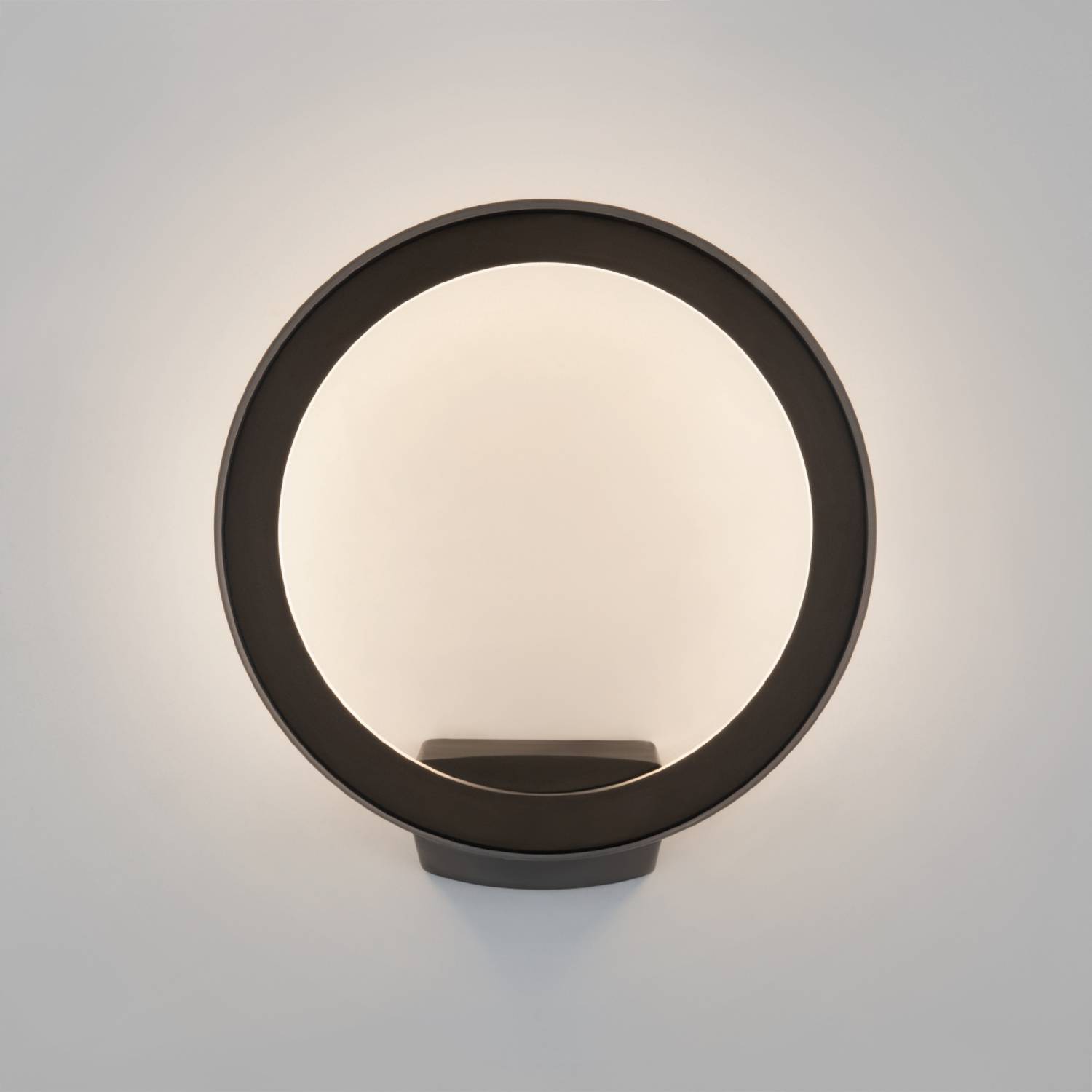 Уличный настенный светильник Elektrostandard Ring 1710 TECHNO LED Ring чёрный