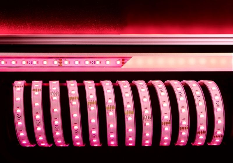 LED лента Deko-Light SMD5050 840241