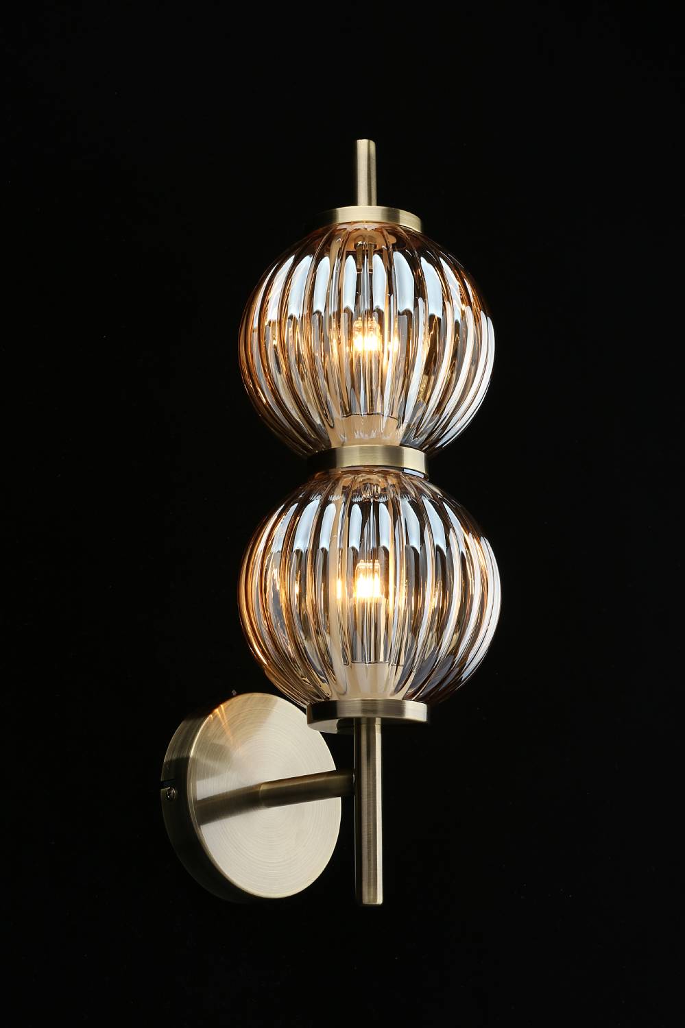 Настенное бра Aployt Zhizel APL.608.21.02