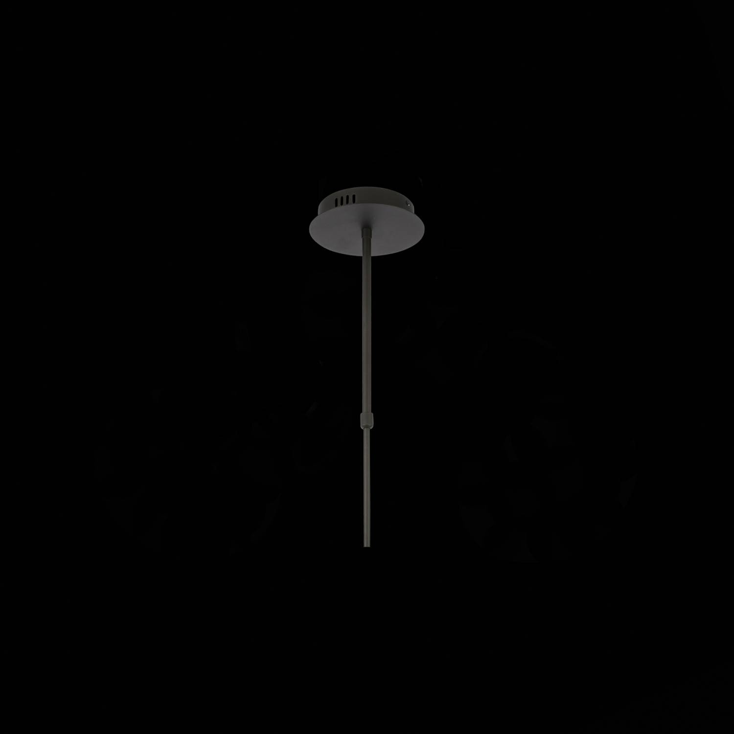 Люстра на штанге ST Luce Formolla SL1597.403.08