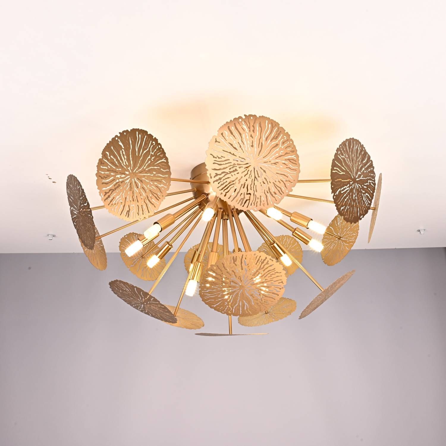 Потолочная люстра ImperiumLoft Inca-C01 140768-26