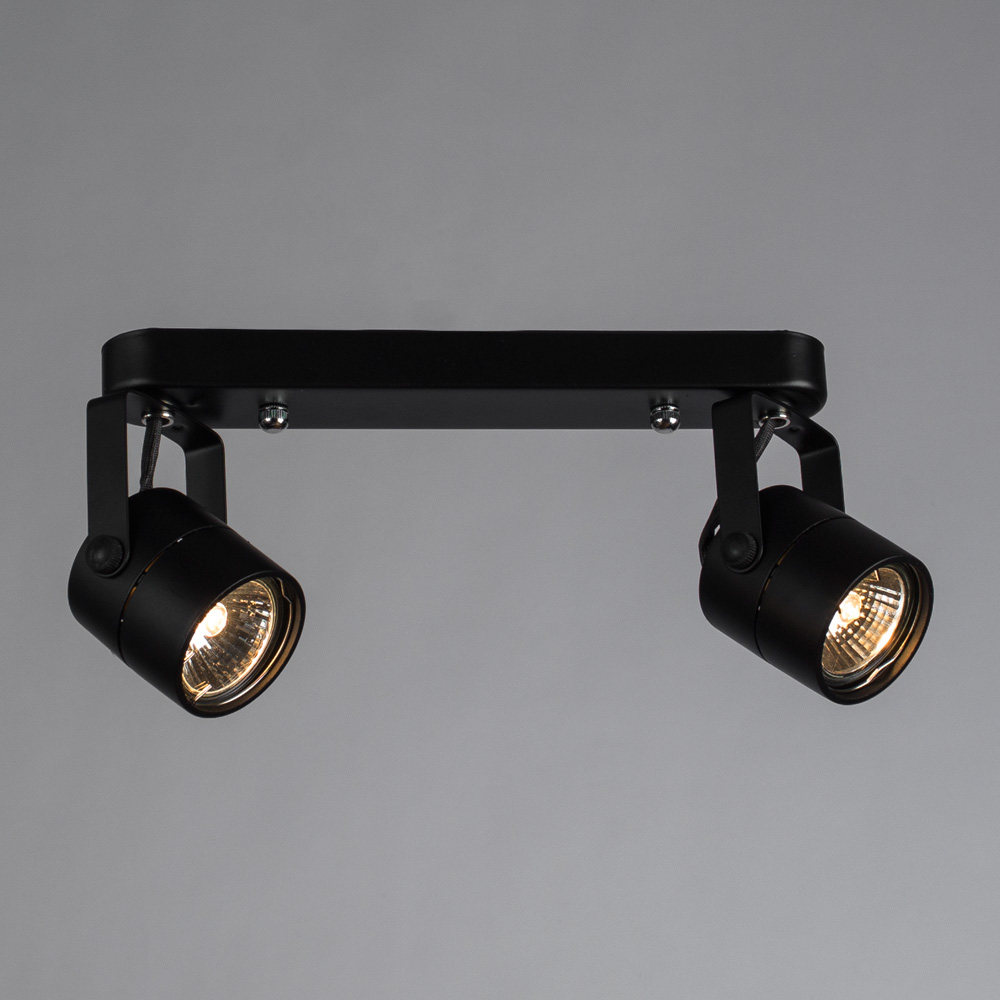 Светильник спот Arte Lamp Lente A1310PL-2BK