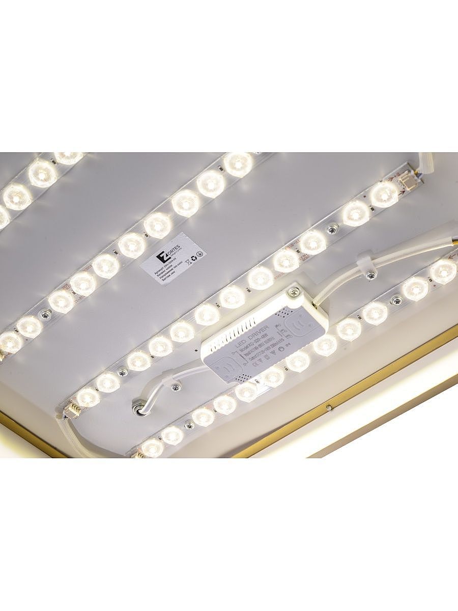 Светильник потолочный Zortes Monna ZRS.1209.03