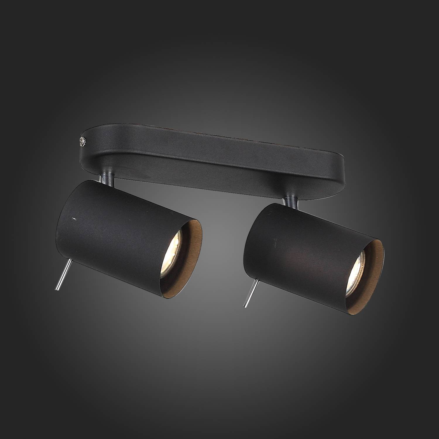 Светильник спот ST Luce Fanale SL597.401.02