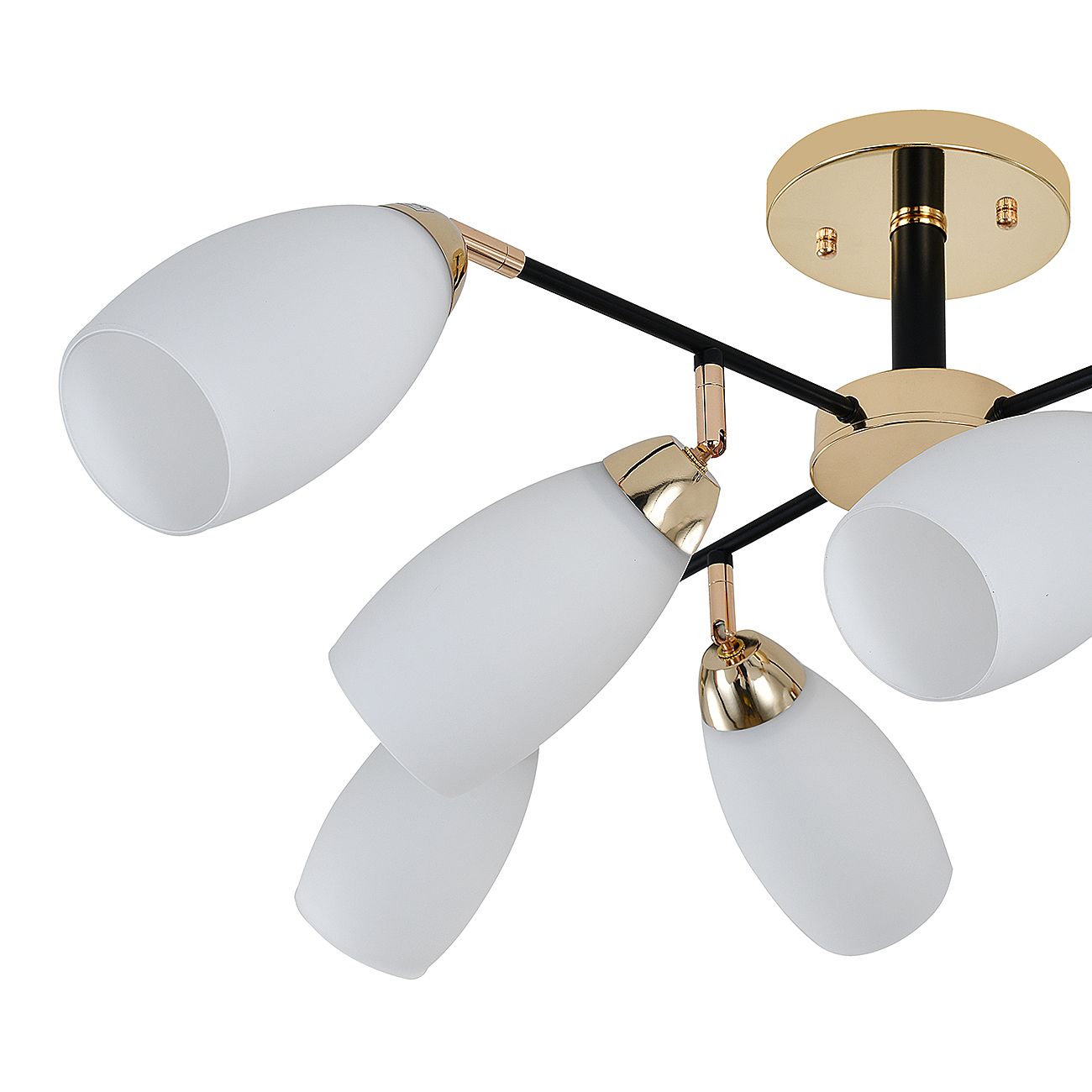 Потолочная люстра Escada Aucuba 643/8P