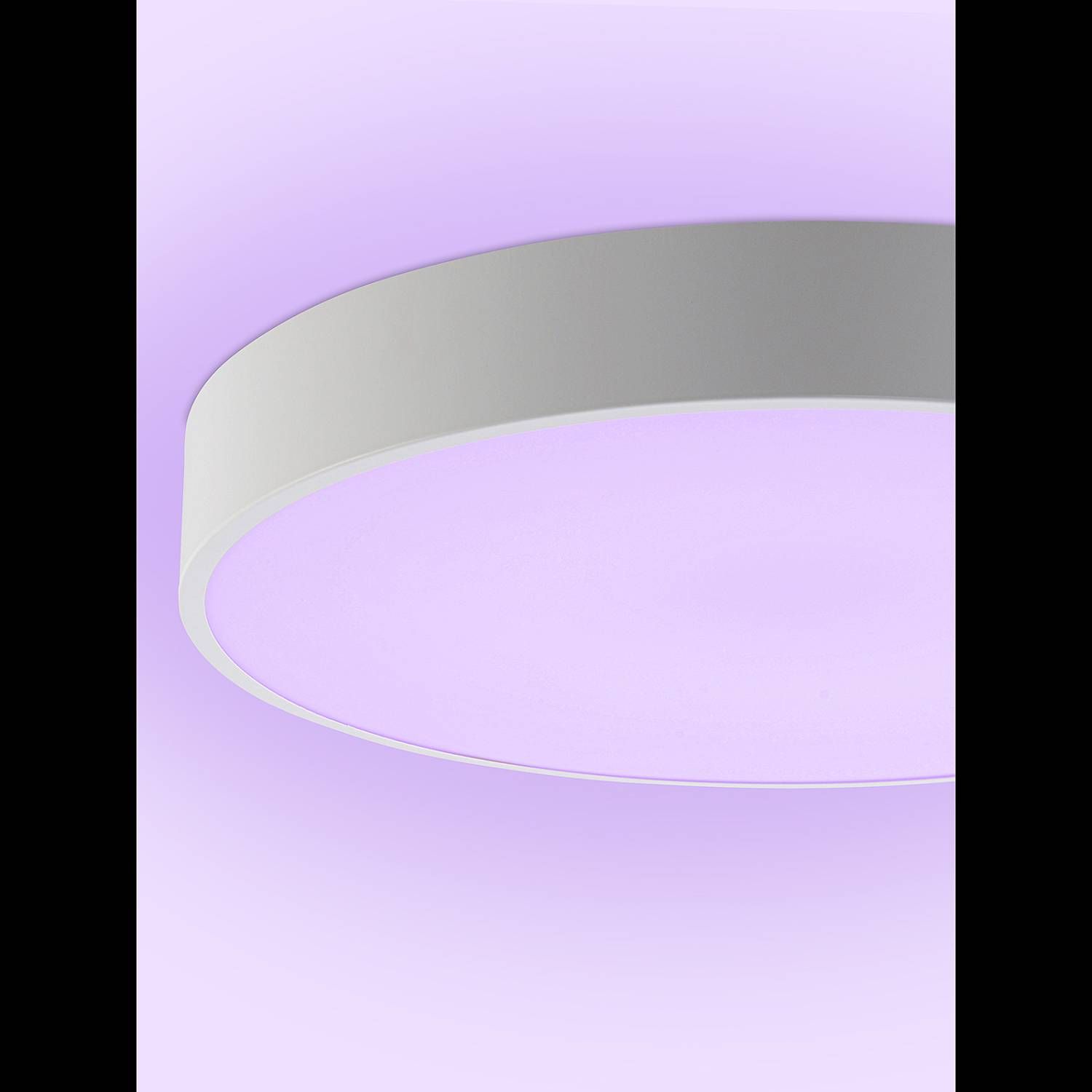 Светильник потолочный Natali Kovaltseva Modern LED LAMPS 81105/2C