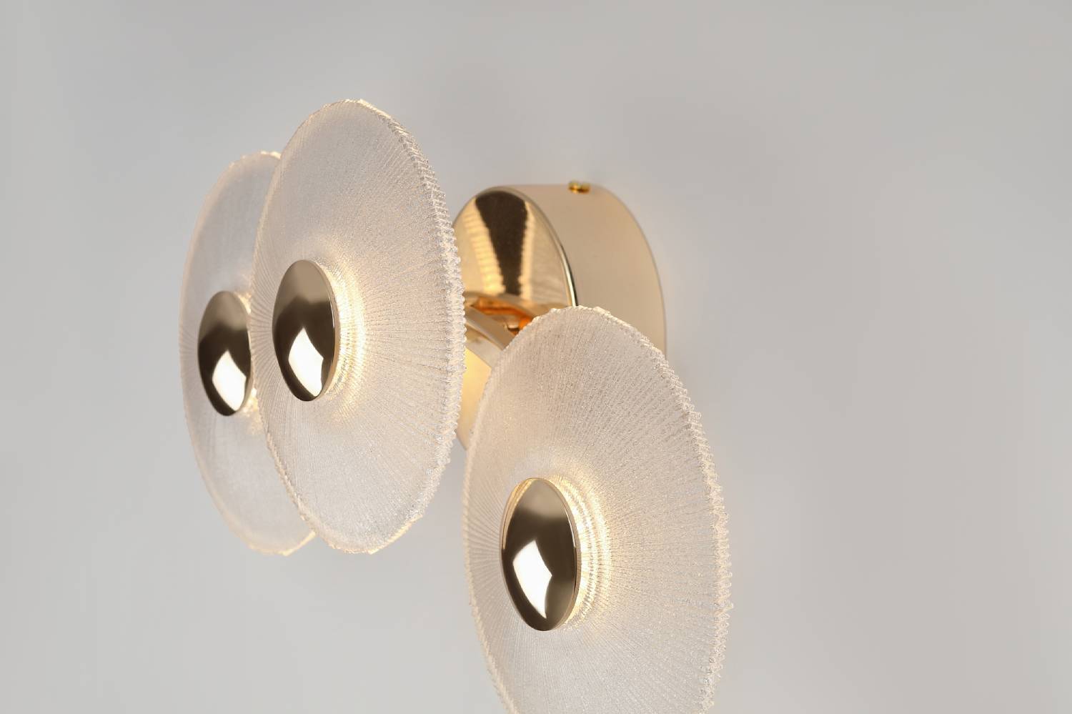 Настенный светильник Rivoli Helena 6134-401