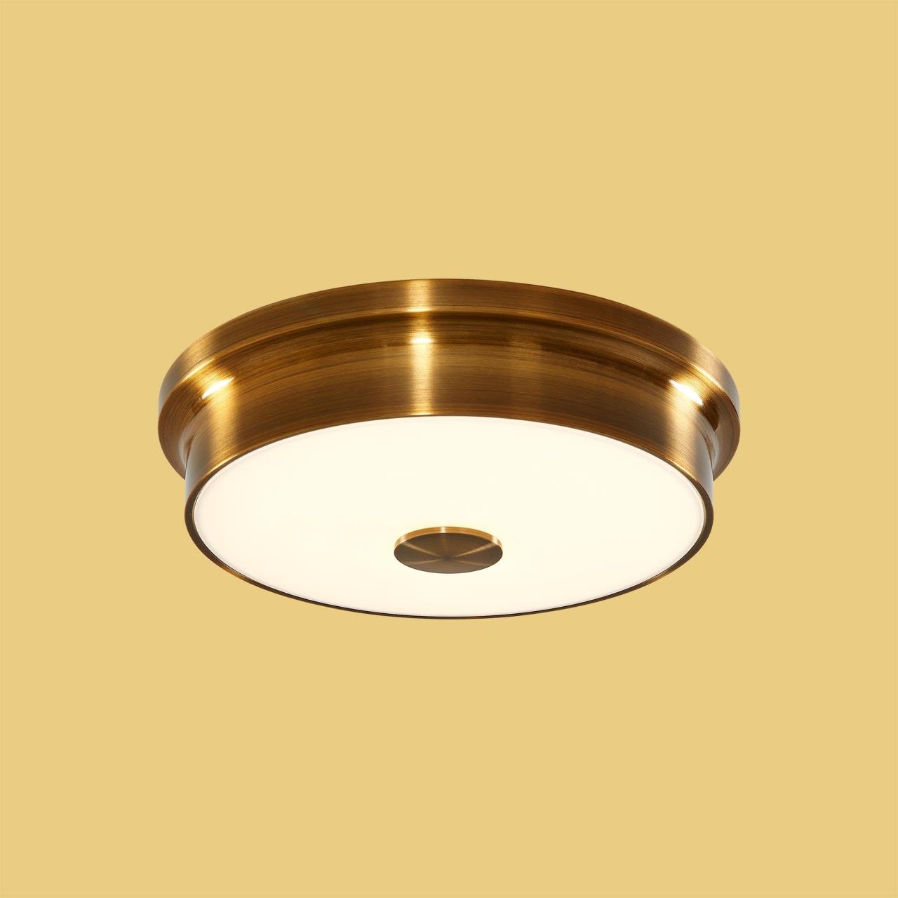 Потолочный светодиодный светильник Citilux Фостер-2 CL706222