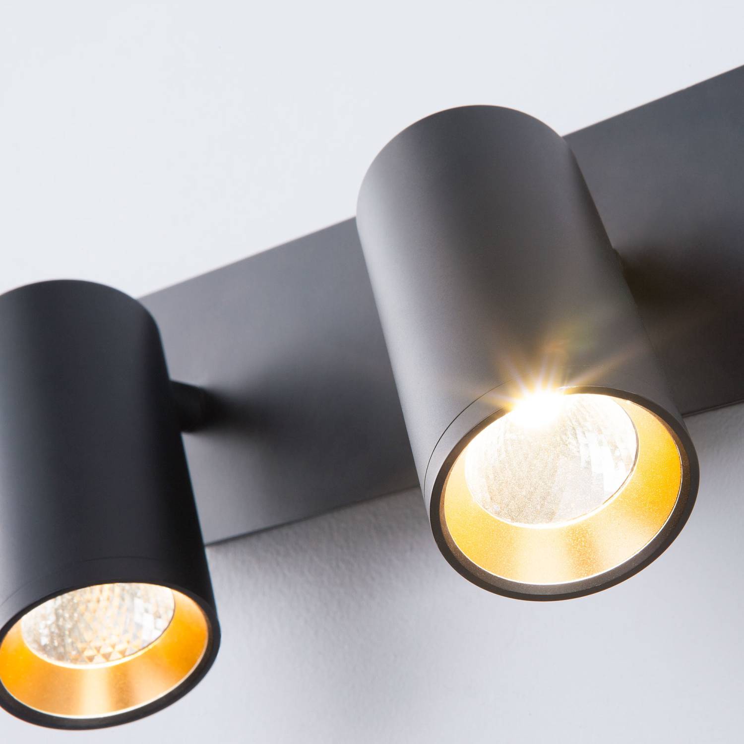 Светильник спот Eurosvet Fleur 20066/2 LED черный/золото