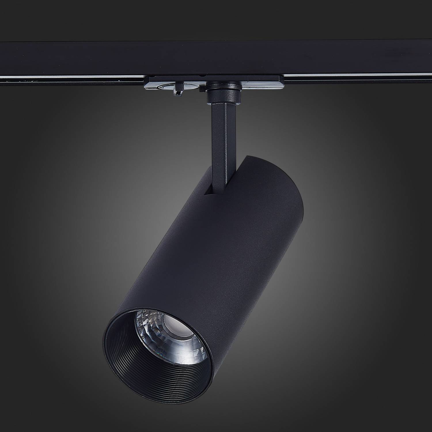 Трековый светильник ST Luce Mono ST350.446.20.36