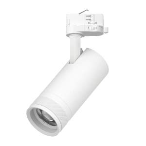 Трековый светильник Lightstar Canno Pro C4206QT