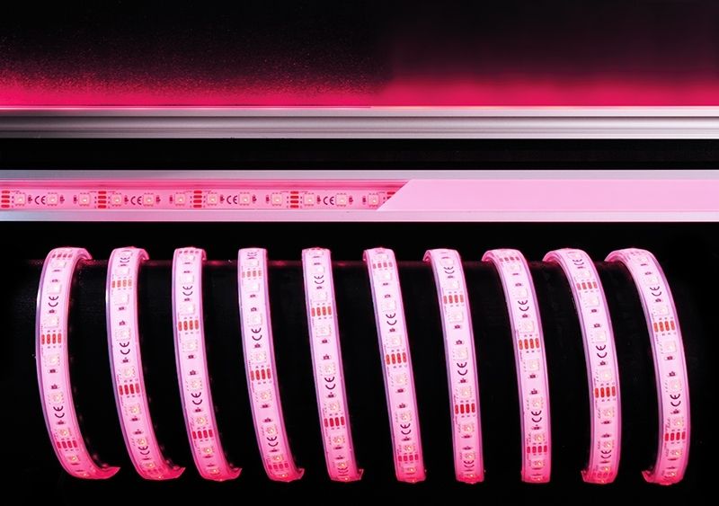 LED лента Deko-Light SMD5050 840256