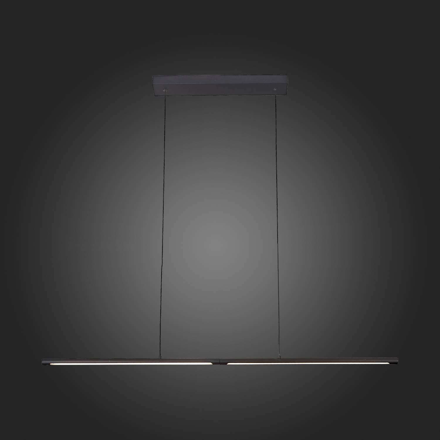 Светильник подвесной ST Luce Ralio SL1580.403.01 Светильник подвесной ST Luce Ralio SL1580.403.01