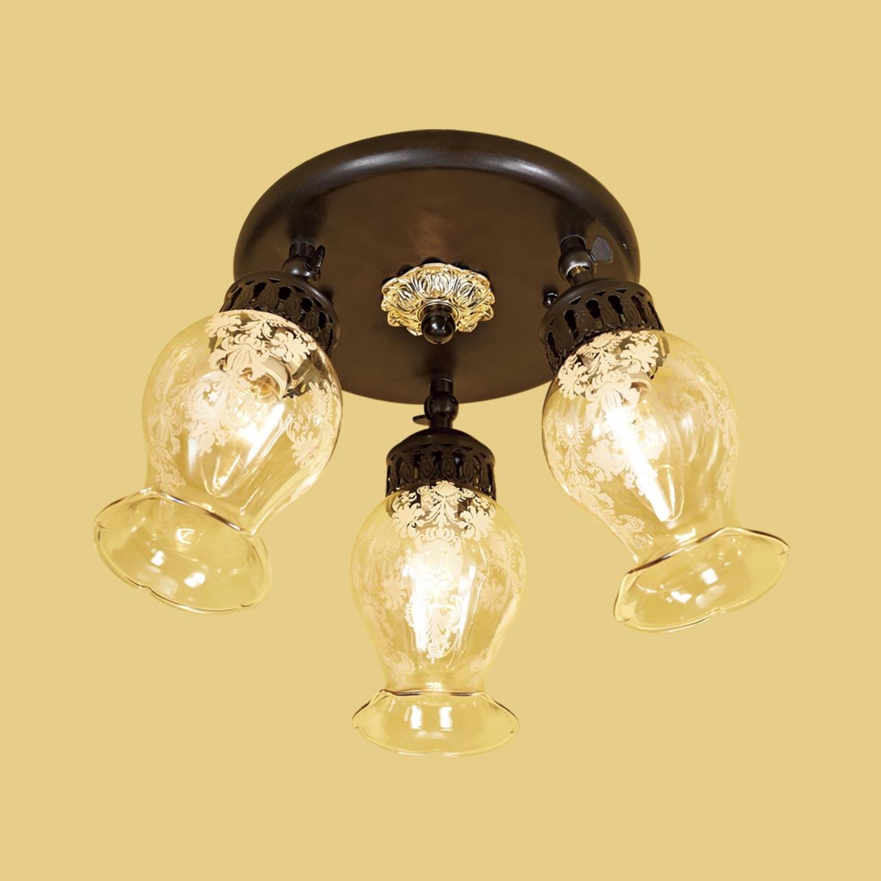 Потолочная люстра Citilux Метафора CL413131