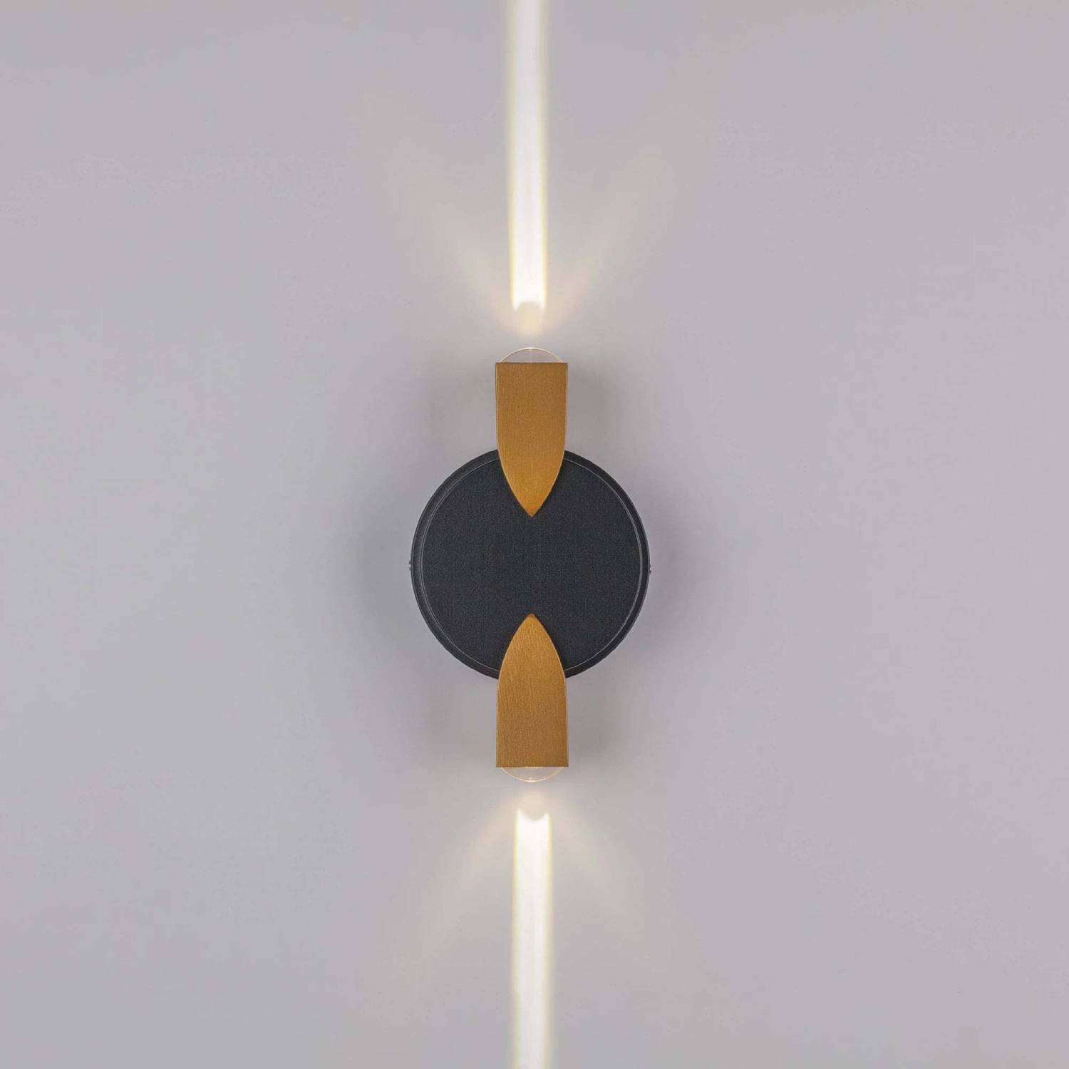 Уличный настенный светильник Lightstar Dito 380623