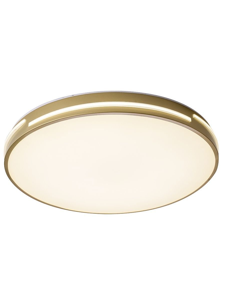 Светильник потолочный Zortes Gabby ZRS.90610.50