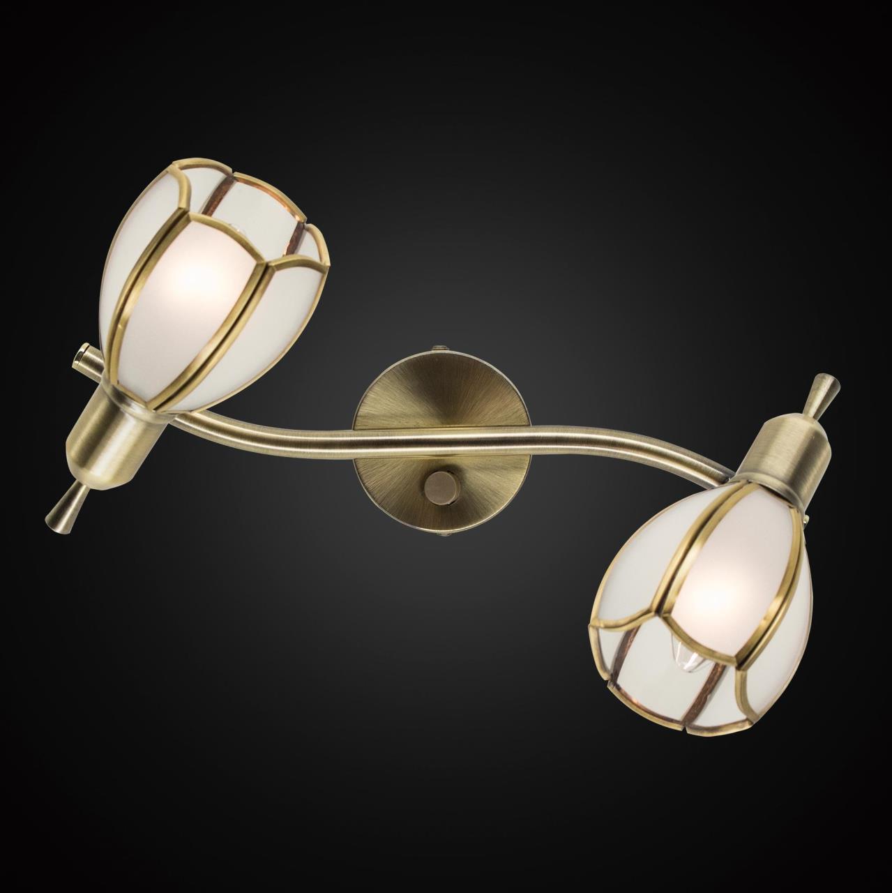 Светильник спот Citilux Альтен-2 CL522621