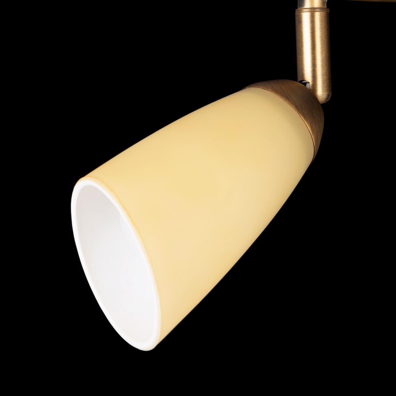 Потолочная люстра Citilux Белла CL501163