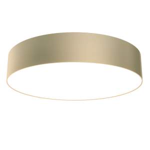 Светильник потолочный Maytoni Zon C032CL-L43MG3K