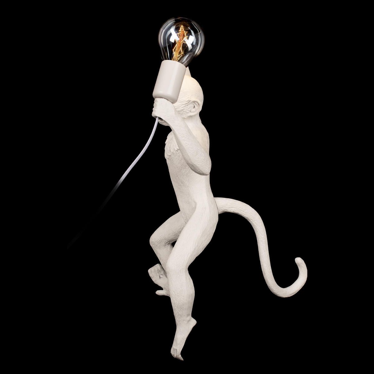 Настенный светильник Loft It Monkey 10314W/B