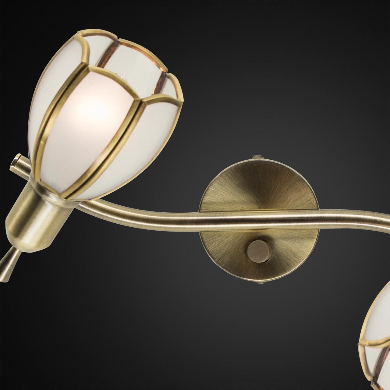 Светильник спот Citilux Альтен-2 CL522621