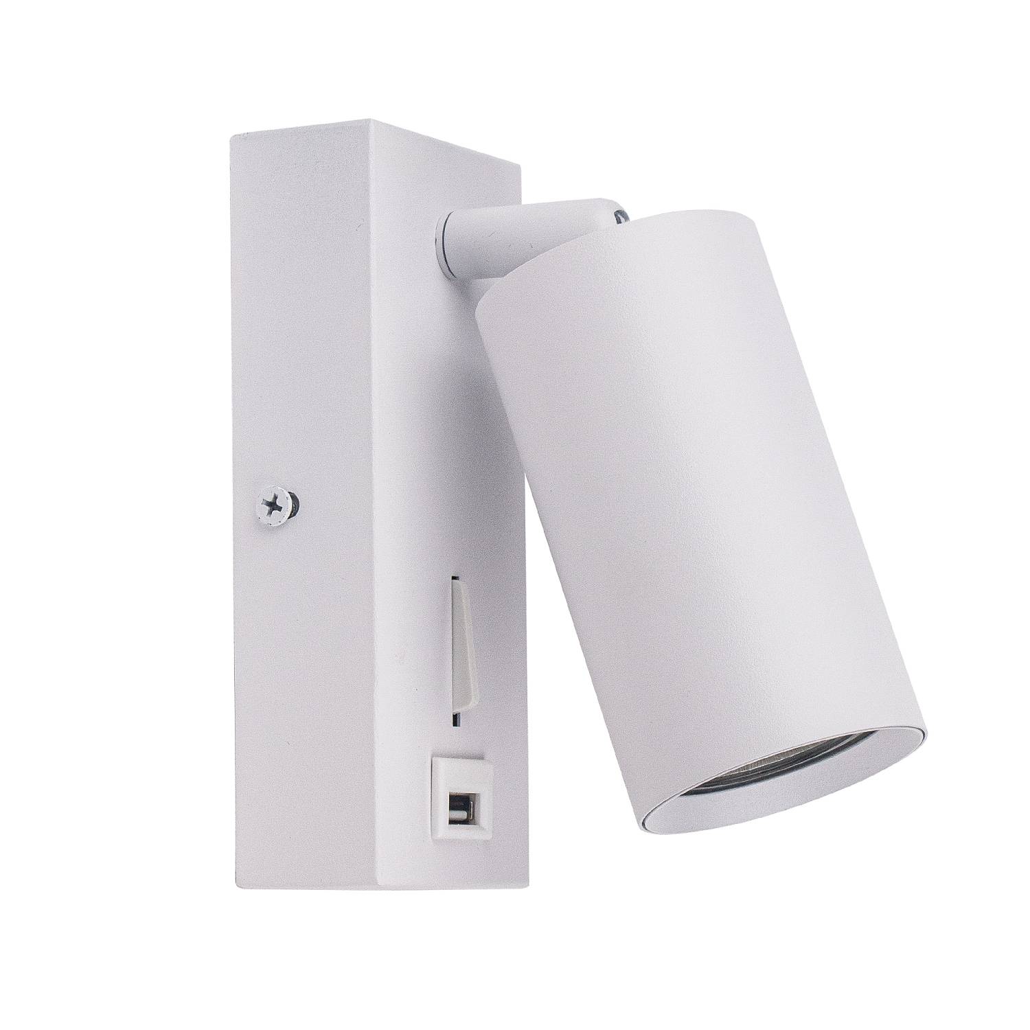 Светильник спот Brizzi Aras BR08079