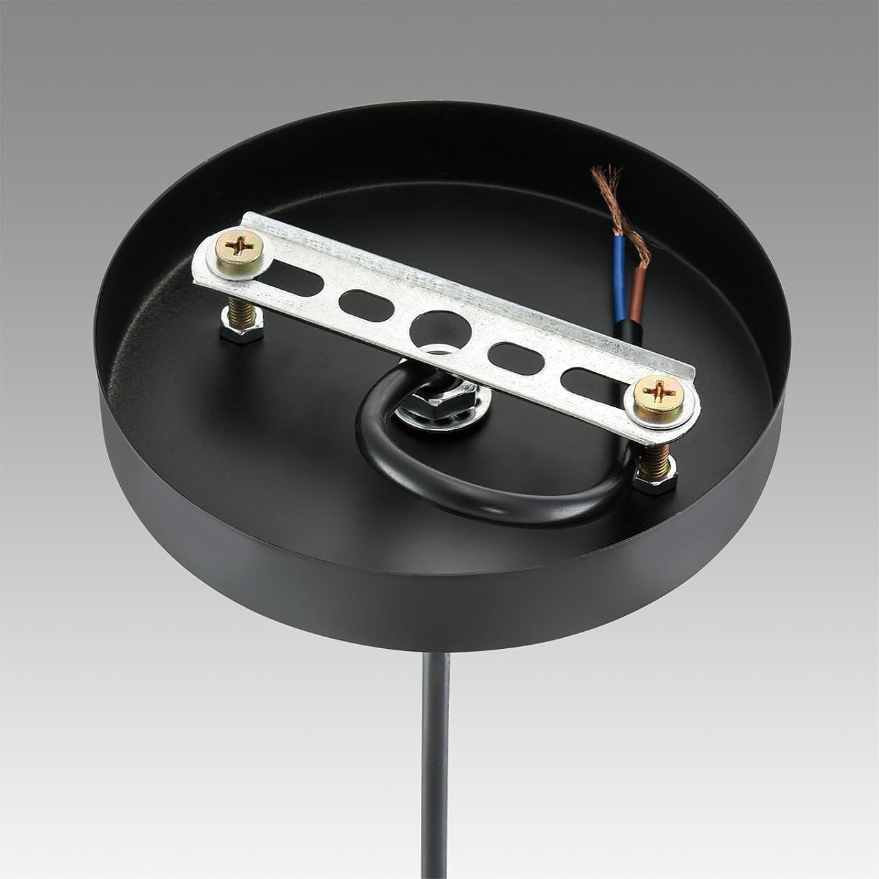 Светильник подвесной Lumion Leonela 8052/1A