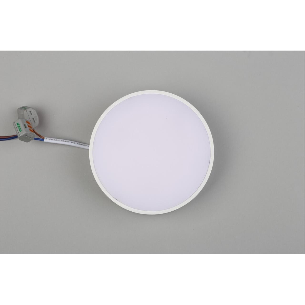 Светильник потолочный Aployt Evon APL.0113.09.12