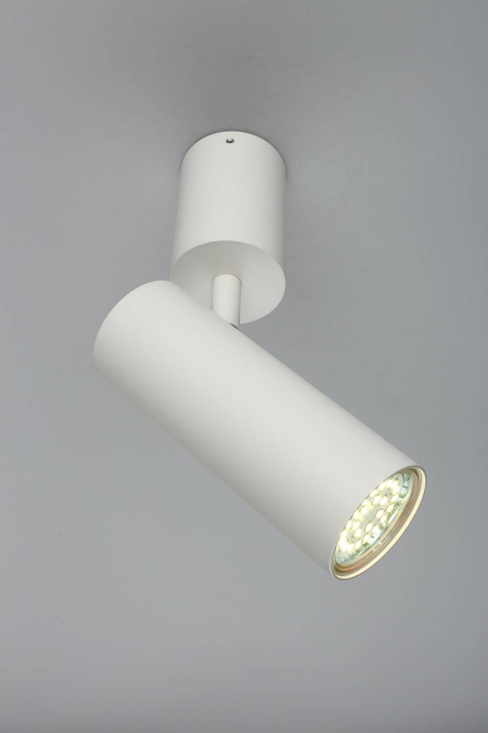 Светильник спот Aployt Berenis APL.007.02.01