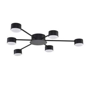 Потолочная люстра Lumion Torina 8344/6С